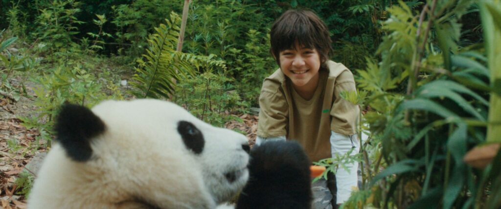 Moon: Panda i ja – świat poza ekranem