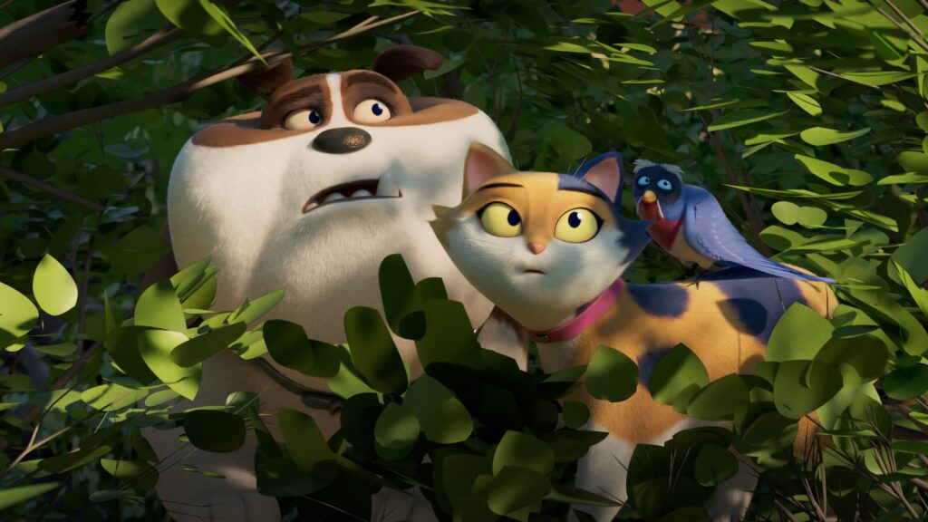 Miss Moxy. Kocia Ekipa – zwierzaki rządzą!